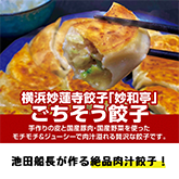 妙和亭ごちそう餃子
