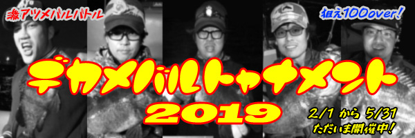2019デカメバルトーナメント
